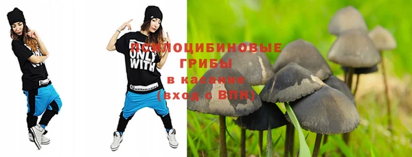 гашик Алексеевка