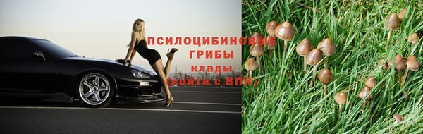 амф Алексин
