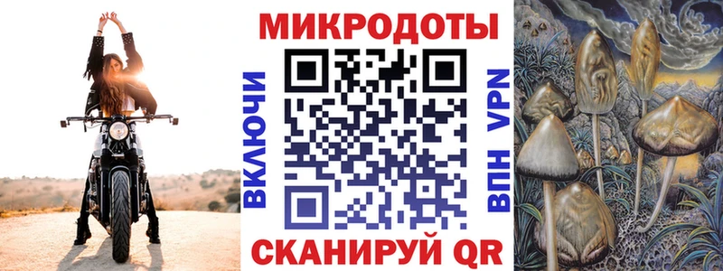 Псилоцибиновые грибы ЛСД  Наволоки 