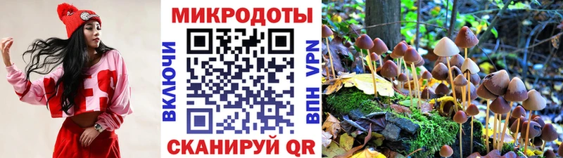 Псилоцибиновые грибы прущие грибы Наволоки